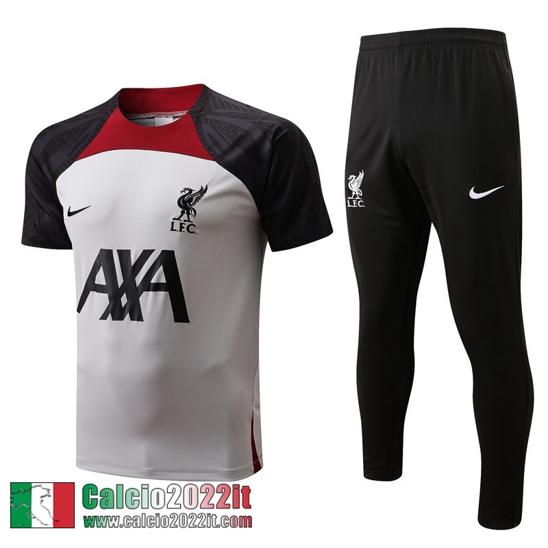 Liverpool T-Shirt grigio Uomo 2022 2023 PL537