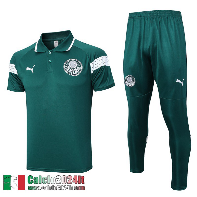 Palmeiras Polo Shirts Verde Uomo 2023 2024 PL665