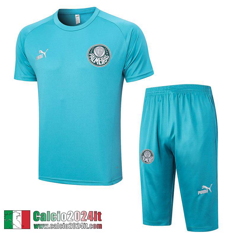 Palmeiras Polo Shirts cielo blu Uomo 2023 2024 PL684